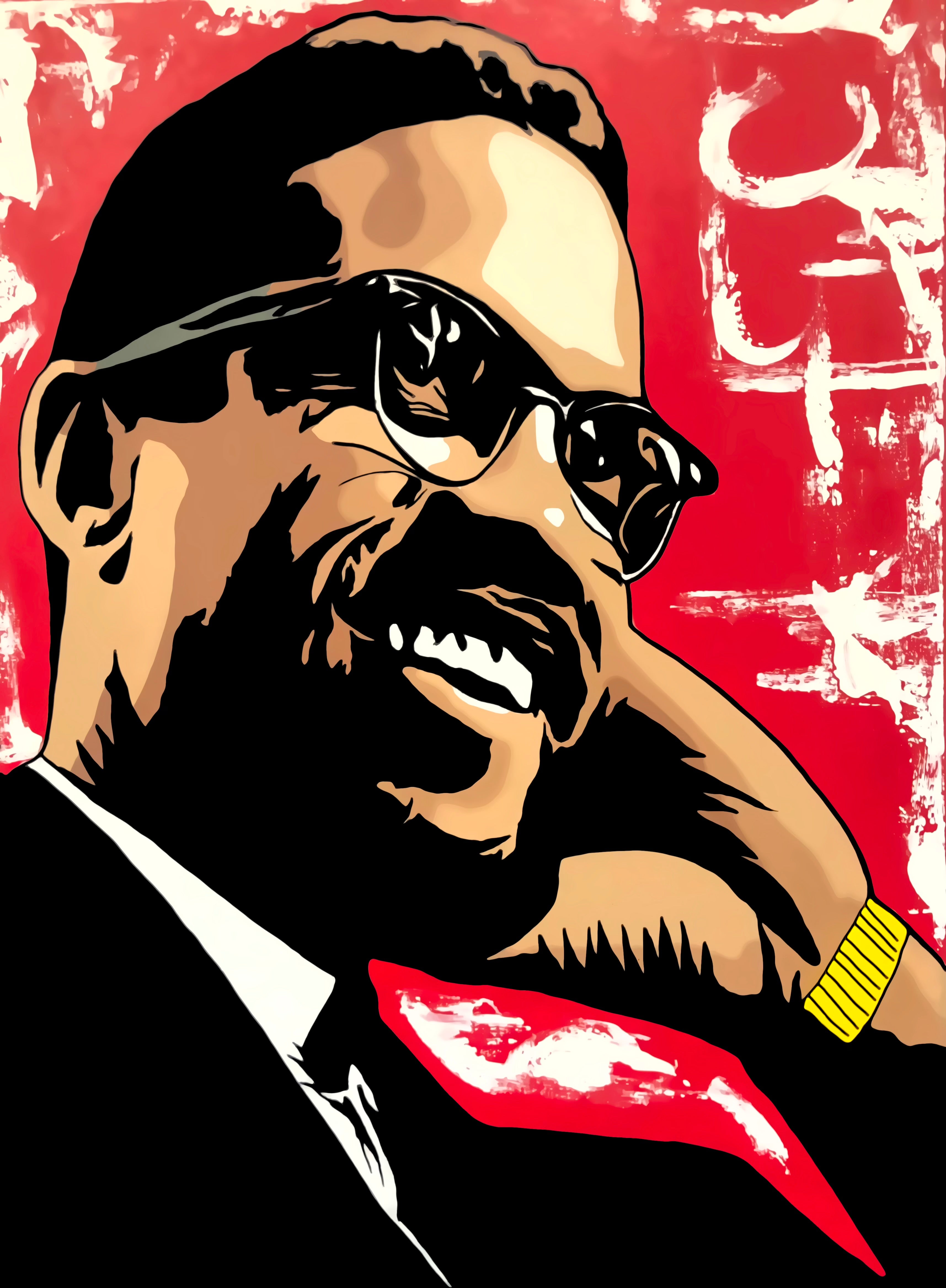 Malcom X Version 2 Different size Canvases